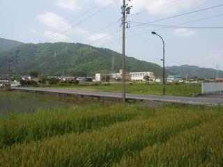 地_10
